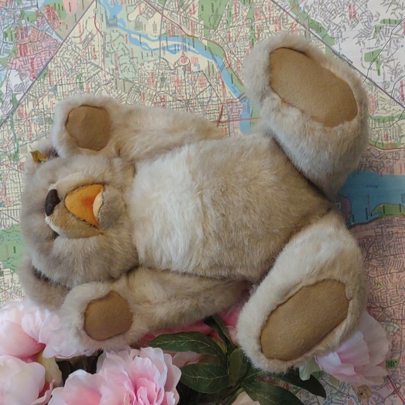 Stieff Minky Zotty 14 in. Bear - Picture 5 of 6